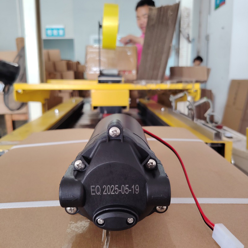 Zuanli Boost Pumps Expédition aujourd'hui pour le chargement des conteneurs!
