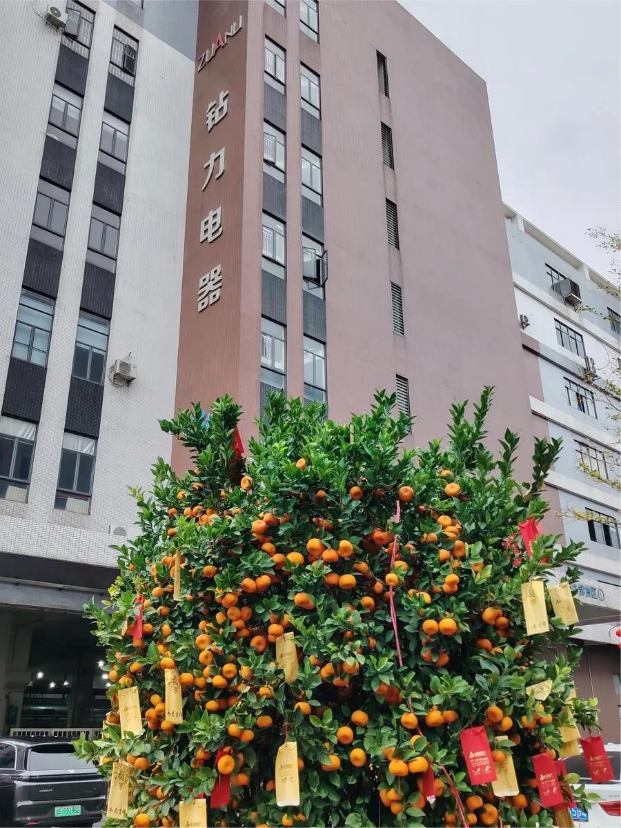 Première expédition après le Nouvel An chinois : les pompes à osmose inverse à couple élevé se dirigent vers le marché international -zuanli ro pump !